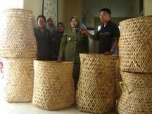 images_068